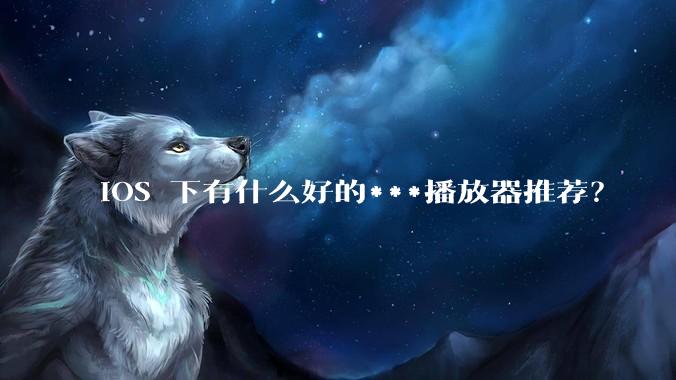 iOS 下有什么好的***播放器推荐？