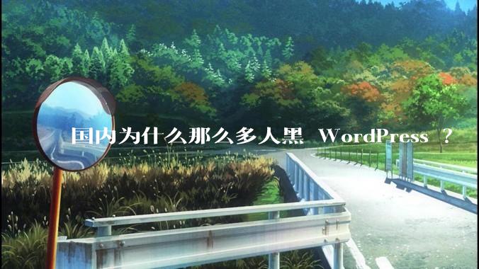 国内为什么那么多人黑 WordPress ？