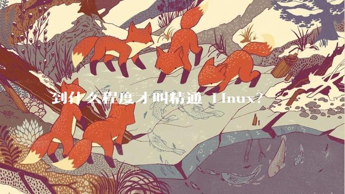到什么程度才叫精通 Linux？