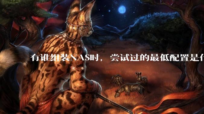 有谁组装NAS时，尝试过的最低配置是什么？