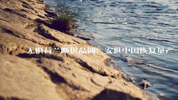无惧荷兰断供晶圆！安世中国恢复量产 本土制造_生产的_半导体_成功