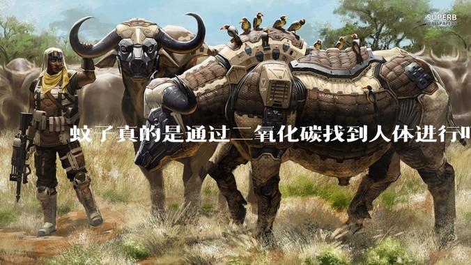 蚊子真的是通过二氧化碳找到人体进行叮咬的吗？