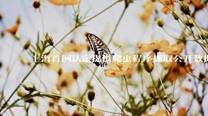 上海首例认定提供爬虫程序抓取公开数据构成提供侵入计算机信息系统程序罪案，该案件有哪些细节值得关注？