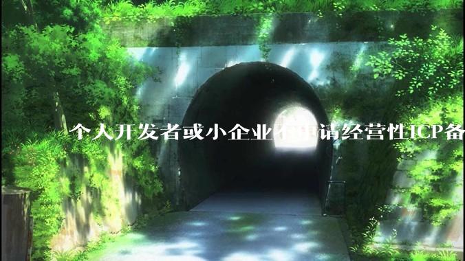 个人开发者或小企业不申请经营性ICP备案，怎样开发APP盈利?